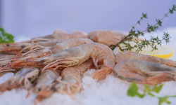 Côté Fish - Mon poisson direct pêcheurs - Crevettes 500g