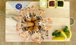 La Criée d'à Côté - Langoustines cuites - Lot de 1kg