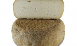 BEILLEVAIRE - Chevre Fermier Bichonne