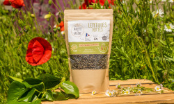 Sa Majesté la Graine - Lentilles Vertes Origine France - sachet 350 g