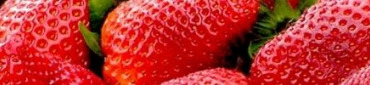 Fraises