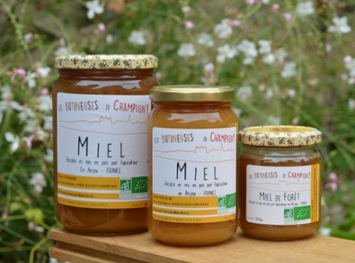 Les Butineuses de Champigny - Miel de Forêt Bio - 500 g