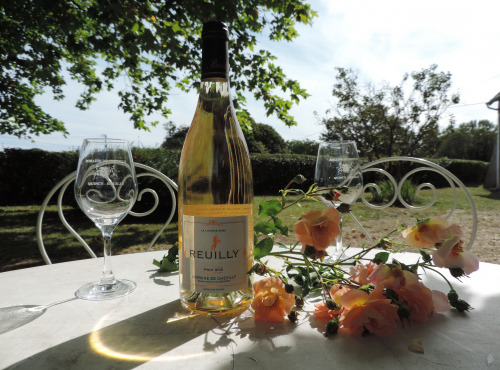 Domaine de Chevilly - AOC Reuilly Gris - La Licorne Rose