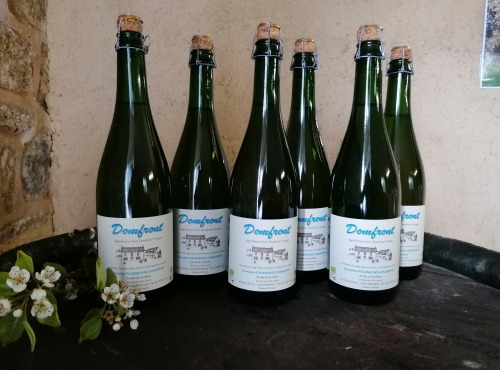 Domaine Fourmond Lemorton - Poiré Domfront Tradition AOP BIO x6