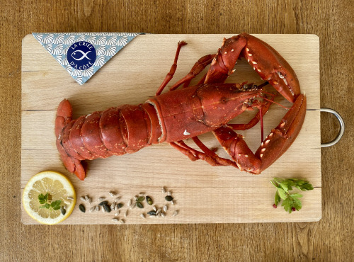 La Criée d'à Côté - Homard bleu cuit - 900 g