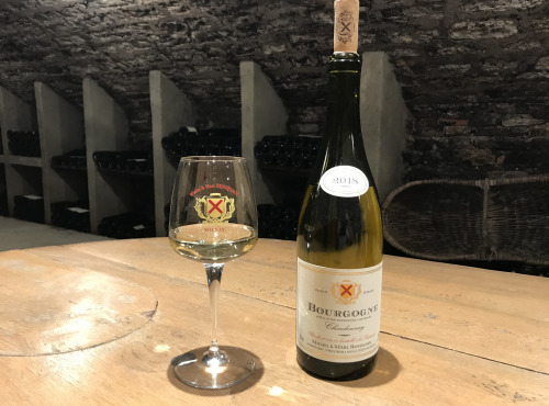 Domaine Michel & Marc ROSSIGNOL - Bourgogne Chardonnay 2019