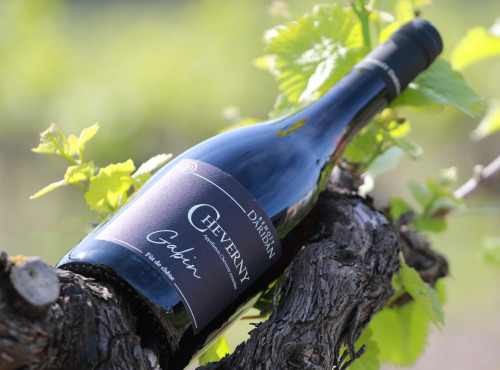 Domaine Daridan - "Gabin" Cheverny rouge - 2020