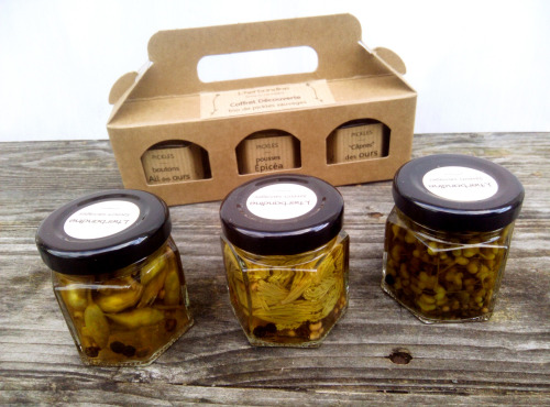 L'herbandine - Trio de Pickles Sauvages – Coffret Cadeau