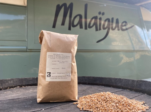 Domaine de Malaïgue - Petit Epeautre en Grains bio - 5kg