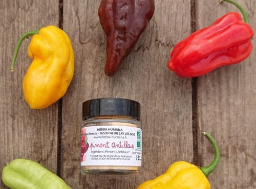 HERBA HUMANA - Piment Antillais Bio Cultivé en France 12 g