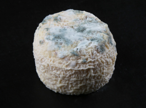 La Fromagerie Marie-Anne Cantin - Crottin De Chavignol Aop