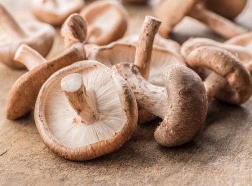 Les champignons de Vernusse - Shiitakes frais - 500g