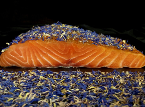 Thierry Salas, fumage artisanal - Pavé de saumon fumé, ail des ours et fleurs de bleuet - 500g