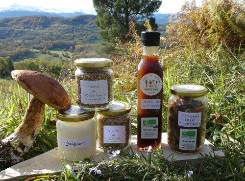 Terres En Vie - Cuisine Epicurienne : Châtaigne, Champignons, Saindoux et Caramel