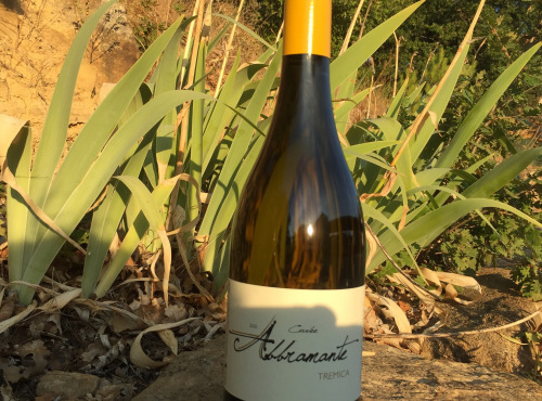 Depuis des Lustres - Comptoir Corse - Domaine de Tremica - Cuvée Abbramante blanc 2021