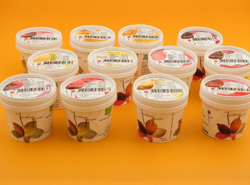 Le Jardinier Glacier - Lot de 12 Sorbets