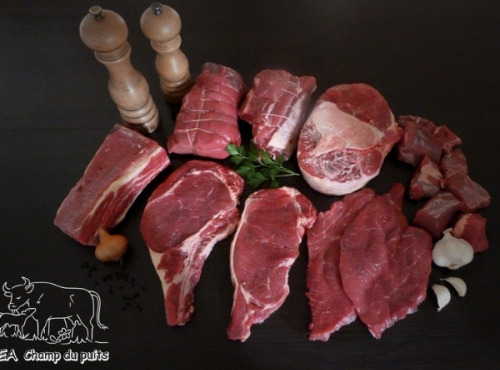 SCEA Champ du Puits - Bœuf Bio - Lot Traditionnel 3 kg