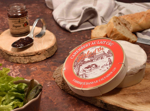 Fromage Gourmet - Camembert au lait cru