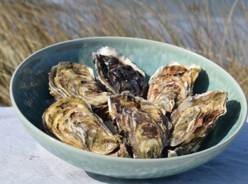 Huître de Normandie - Huîtres Fines No.2 LAFOSSE - 48 Pièces