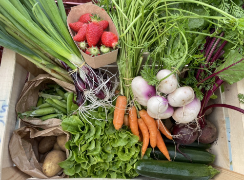 Le Potager de Sainte-Hélène - Panier de légumes bio de saison - 4kg