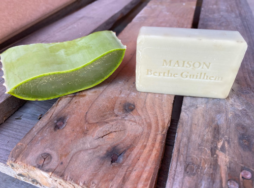 La Boite à Herbes - Savon Aloe Vera Bio