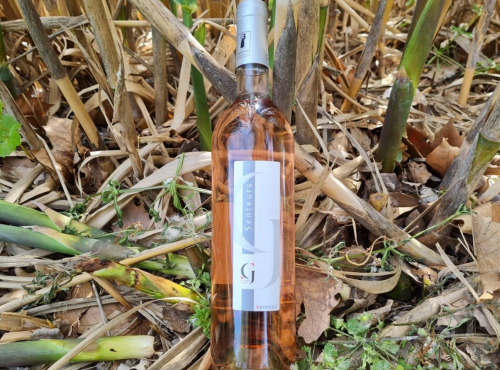 Domaine Girod - AOP Ventoux Vin Rosé 2021 x 6