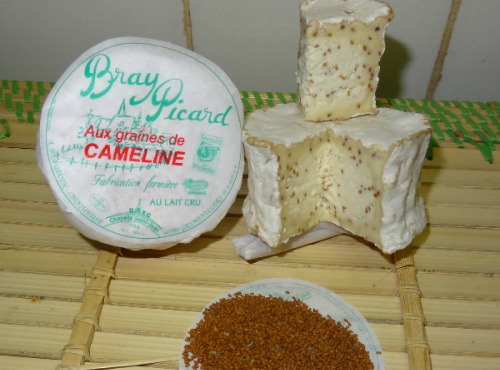 Fromagerie de la Chapelle Saint Jean - Bray Aux Graines De Cameline - 6 Pièces