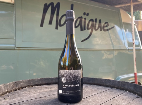 Domaine de Malaïgue - Vin Blanc de Blanc bio 2020