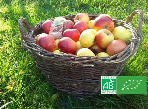 Les Jardins de Karine - POMMES "visitées"-en mélange-10kg