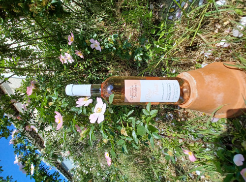 Domaine Les Conques Soulière - Vin Rosé Fruité IGP Méditerranée