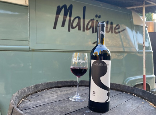 Domaine de Malaïgue - Vin rouge bio - Mélodie du Sol 2020