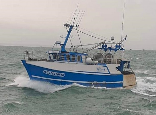 Godaille de l'Armement Cherbourgeois - En Direct du Bateau - Noix de Saint Jacques de Baie de Seine