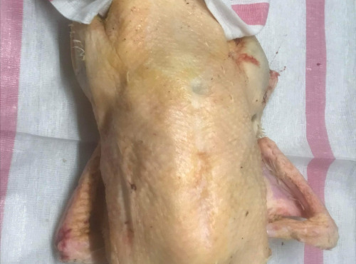 Des Poules et des Vignes à Bourgueil - Cane grasse non vidé , avec foie gras