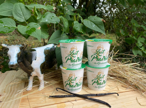 Lait Prairies du Boulonnais - Yaourt fermier brassé à la vanille x4