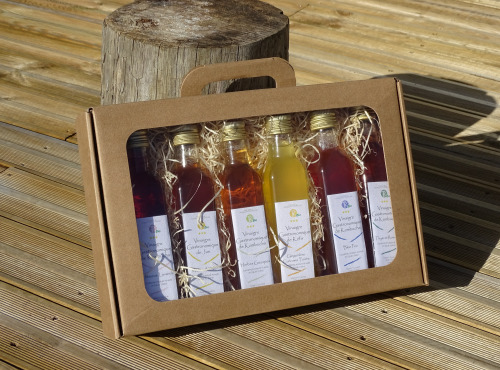 TK Bio - The Kefir et Kombucha Compagnie - Valisette – Coffret Cadeau Vinaigres