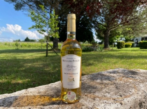 Vignobles Fabien Castaing - AOC Monbazillac Domaine de Moulin-Pouzy Tradition 2019 - 75cl