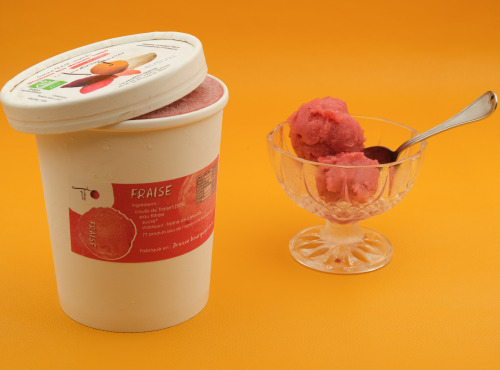 Le Jardinier Glacier - Sorbet fraise - 1L