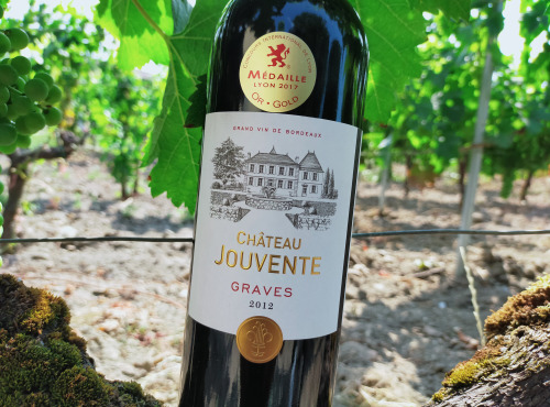 Château Jouvente - Le 2012 de Jouvente, 10 ans déjà - 1 Bouteille de 75 cl