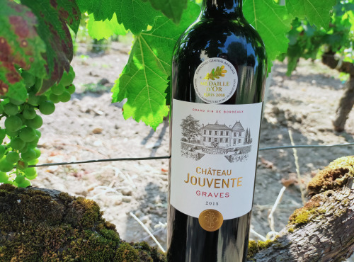 Château Jouvente - Le fabuleux millésime  2015 de Jouvente- 3 Bouteilles