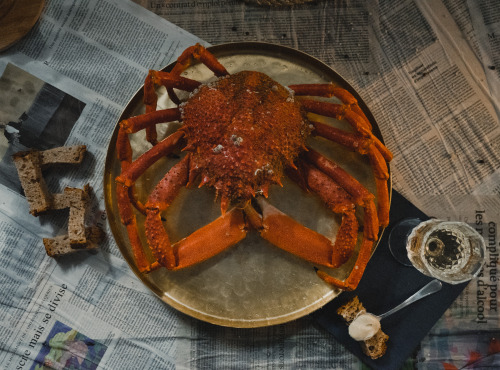 Thalassa Tradition - Araignée de Mer Cuite Normandie - 800 g