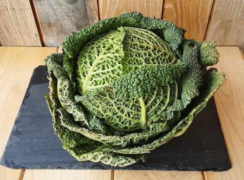 Gourmets de l'Ouest - Chou vert de St-Malo