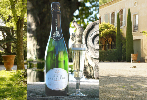 Château Saint Estève d'Uchaux - VIN DE FETES - Brut Chardonnay Blanc de Blancs Méthode Traditionnelle