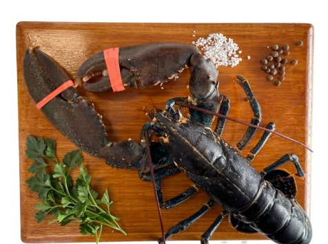 Luximer - Homard Breton Vivant - Pièce De 900g