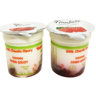 Fromagerie Seigneuret - Yaourt Fruits Rouges Fermier au lait de Chèvre X 4