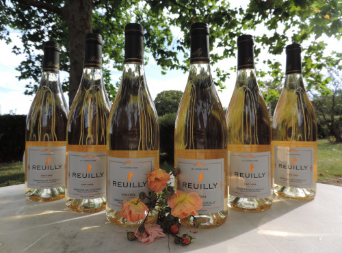 Domaine de Chevilly - AOC Reuilly Gris - La Licorne Rose - 6 Bouteilles