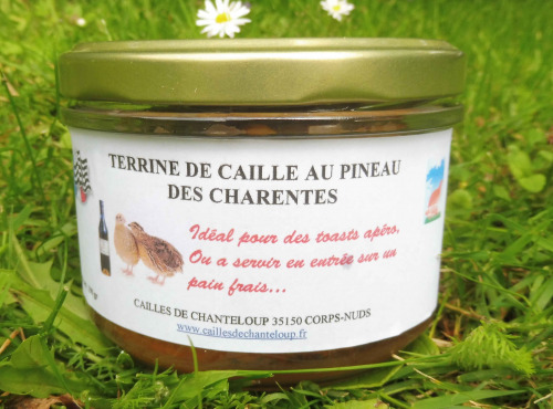 Cailles de Chanteloup - LOT 10 Cailles Prêtes À Cuire Minimum 2,2kg + 1 terrine de caille au pineau des charentes 190 gr