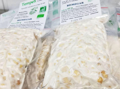 Tempeh Biosegar - Tempeh Artisanal Bio 100% Français 200g