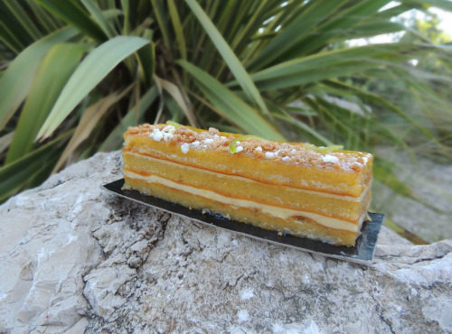 Philippe Segond MOF Pâtissier-Confiseur - Gâteau Au Yuzu Et Huile D'olive Des Baux De Provence (sans Gluten)