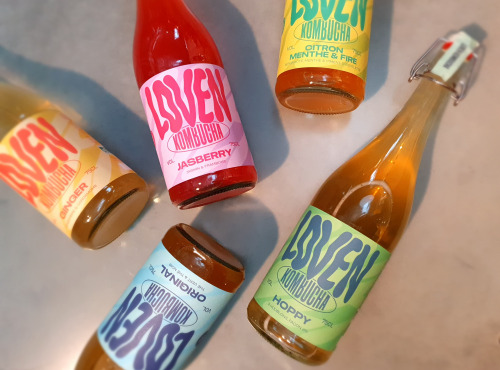 Brasserie L'Indispensable LOVEN Kombucha - Kombucha Pack Découverte - 6x75cl