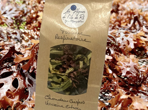 Les Algues de l’Île de Ré - Tisane  Chondrus Crispus Verveine-citron-Pioca-Rétha